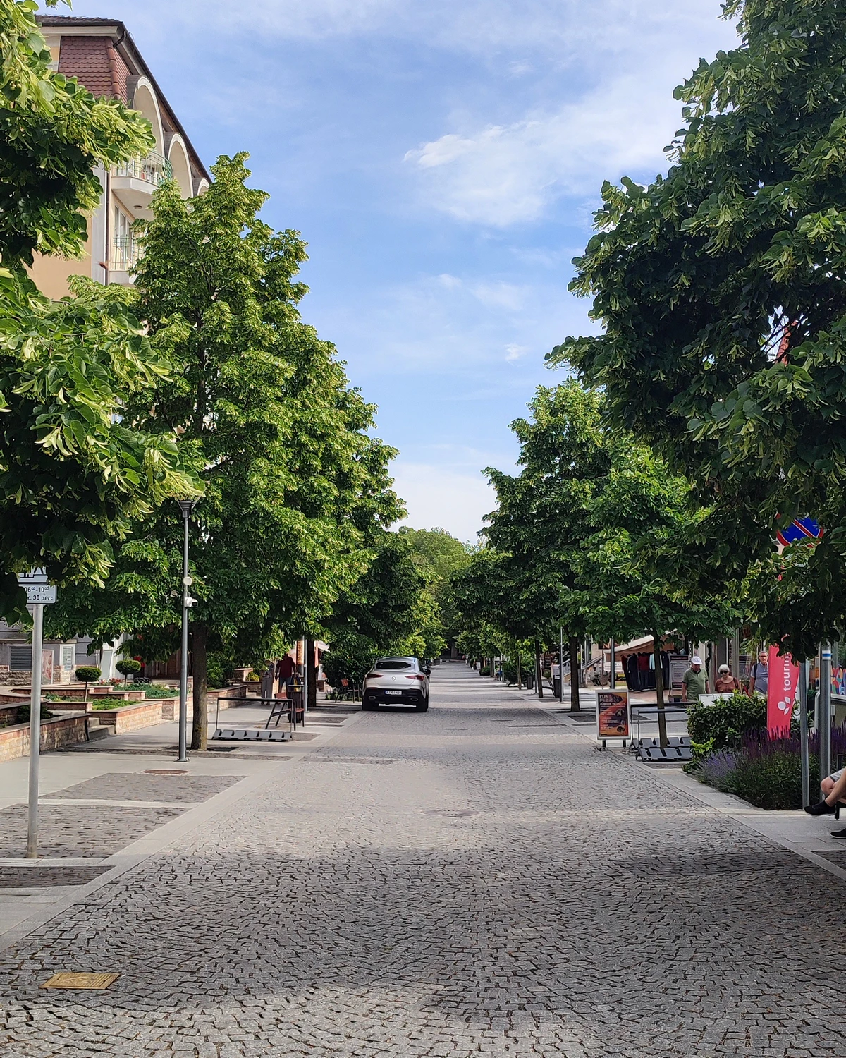 ungarnwohnung Heviz_34