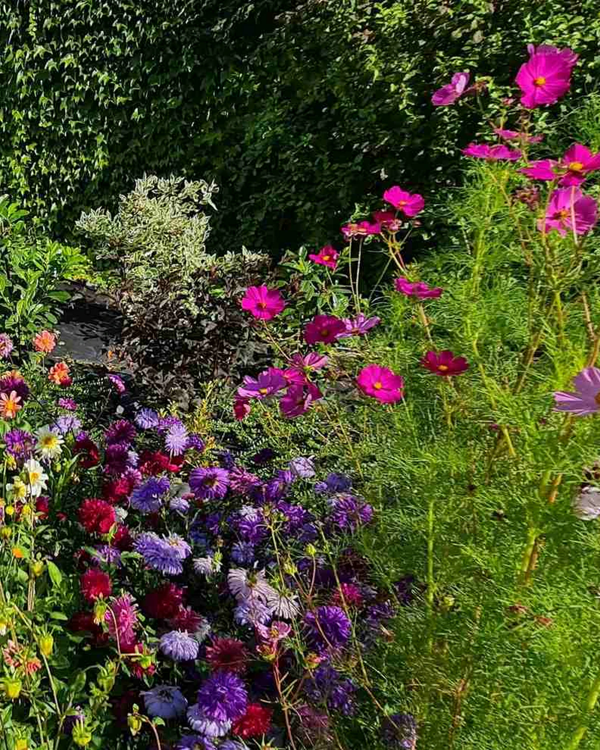 Blumenbeete im privaten Garten der Wohnung