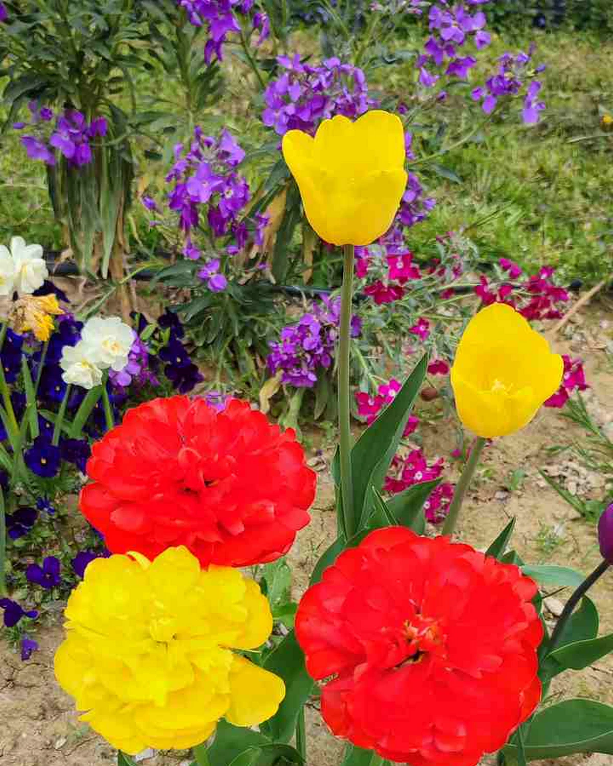 ungarnwohnung flower _10